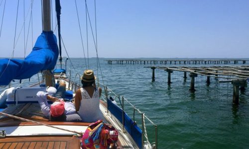 butterflycharters-excursiones-por-la-mañana-14-650x400